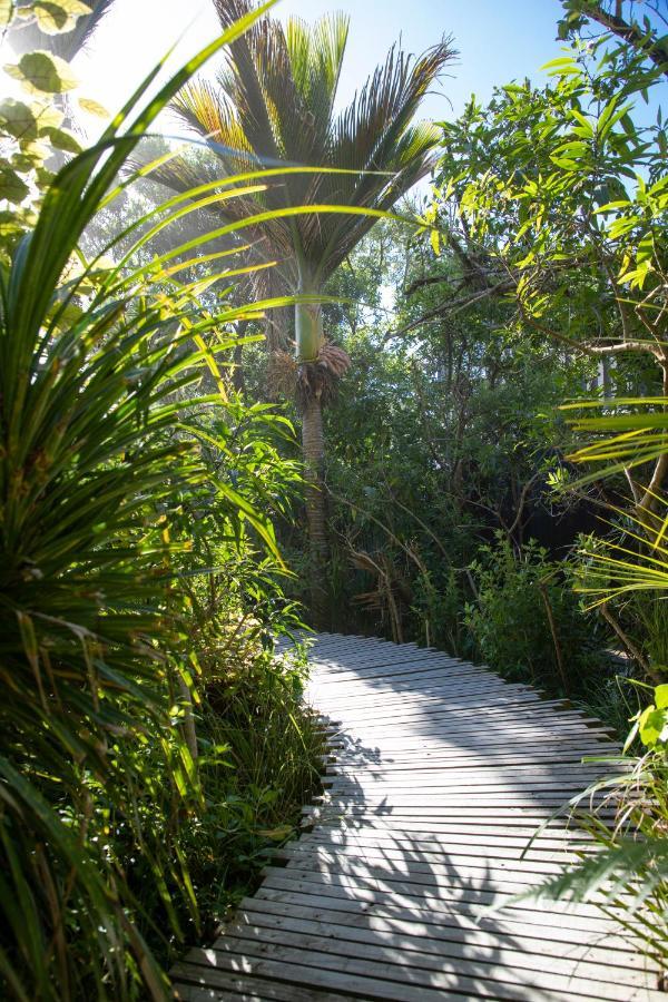 Villa Seascapes à Punakaiki Extérieur photo